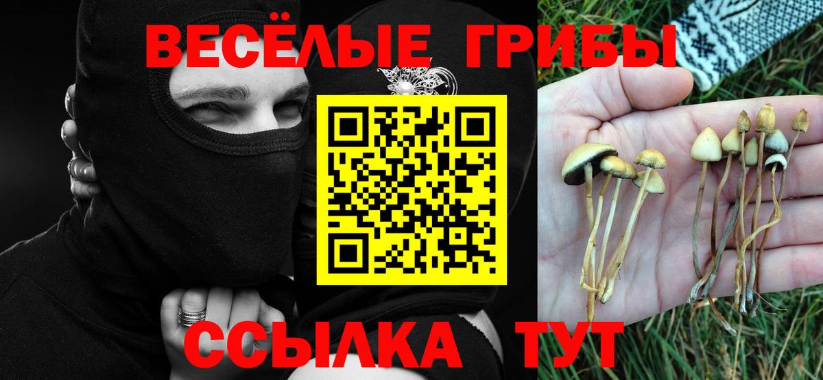 Архангельск  Псилоцибиновые грибы Psilocybine cubensis  Вход с VPN  Псилоцибиновые грибы Cubensis 